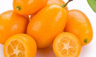 金桔伤胃还是养胃 金桔的简单介绍