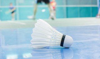 羽毛球折返跑训练方法 怎么训练羽毛球折返跑