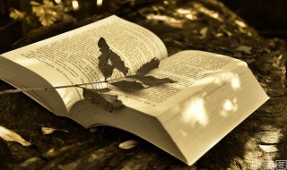 公司新年祝福文案 公司经典的新年祝福语