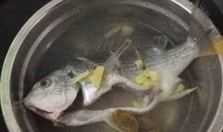 蒸咸白鳞鱼的正确方法 怎样蒸咸白鳞鱼