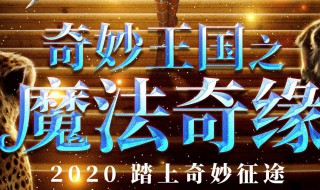 奇妙王国之魔法奇缘演员表 奇妙王国之魔法奇缘剧情简介