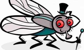 室内果蝇消灭干净小妙招 室内果蝇消灭干净小妙招有哪些