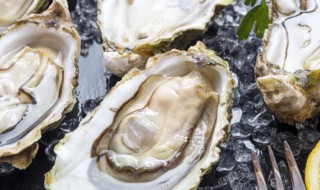 带壳生蚝的正确开蚝方法有哪些 关于带壳生蚝的正确开蚝方法