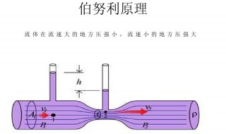 伯努利定理是什么 什么是伯努利定理