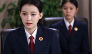 你好检察官剧情介绍 你好检察官剧情简介