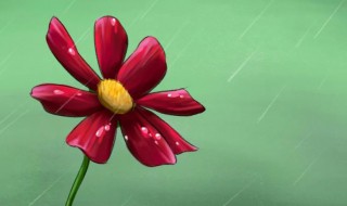 韶华易逝光阴苒冉的苒冉拼音是什么 苒冉拼音介绍