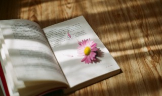 左转中居安思危思则有备的下一句是什么 左转中居安思危思则有备的后一句