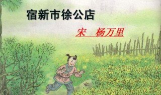杨万里的宿新市徐公店的意思 杨万里的宿新市徐公店释义