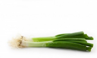 秋天葱的储存方法 秋天如何储存葱