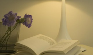 满腹经纶什么意思 满腹经纶的意思