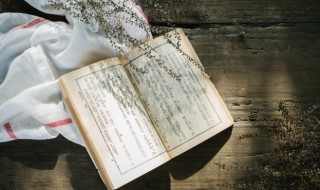 区区不才是什么意思 区区不才解释