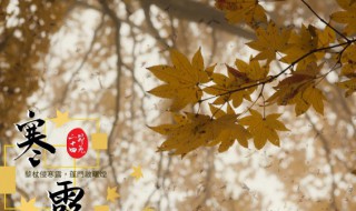 2021年寒露是几月几号 关于2021年寒露是几月几号