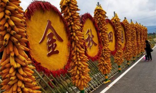 丰收节是几月几号 丰收节介绍