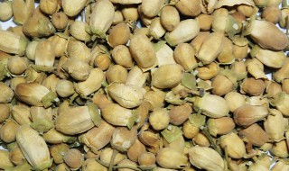 玳玳花和什么花一起喝最好 玳玳花跟什么花喝最好