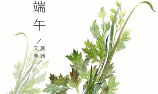 端午节挂菖蒲和艾草是什么意思 端午节为什么挂菖蒲和艾草