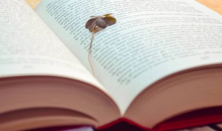 惊奇是什么意思 惊奇解释