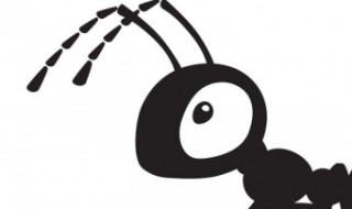 蚂蚁吃什么草 蚂蚁吃什么草呢