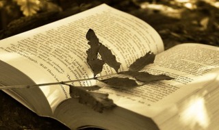 科技是什么意思 科技解释