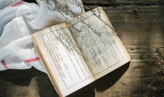 合抱之木是什么意思 合抱之木的解释