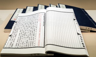 拣尽寒枝不肯栖什么意思 拣尽寒枝不肯栖原诗及翻译