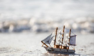 干坞是什么意思 干坞具体是什么意思