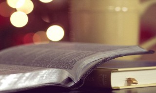 翙翙其羽什么意思 翙翙其羽解释