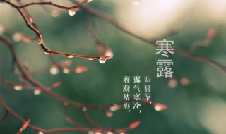 寒露的来历和风俗 寒露的来历是什么