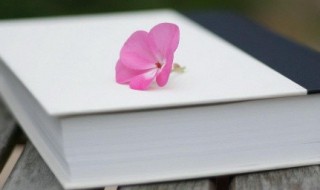 摸爬滚打的意思 摸爬滚打的释义