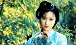 林黛玉进贾府的情节怎么概括 林黛玉进贾府内容梗概