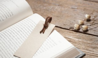 道理论证和引用论证的区别 道理论证和引用论证有哪些区别