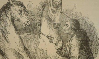 格列佛游记中慧骃国中的骃什么意思 格列佛游记中慧骃国中的骃释义