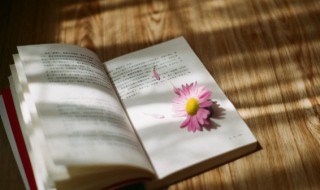 一寸相思一寸灰是什么意思 一寸相思一寸灰是哪首诗中的句子