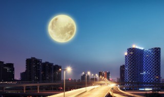 城里的月光把梦照亮请守护他身旁什么意思 城里的月光歌曲介绍