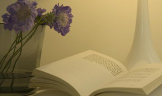 居心不良是什么意思 居心不良成语解释