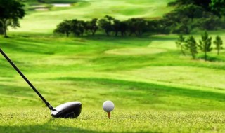 球的四字词语 球的四字词语推荐