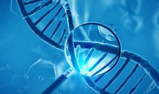 生物的生殖方式有哪些类型 生物的生殖方式有什么类型