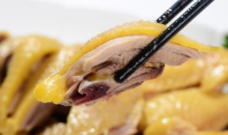 正宗白切鸡的做法 正宗白切鸡的做法步骤