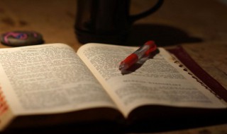 朱的组词 朱怎么组词