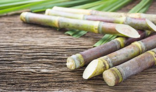 甘蔗在北方储存方法 甘蔗在北方如何储存