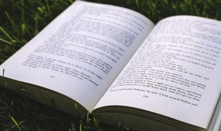 爬组词 爬怎么组词