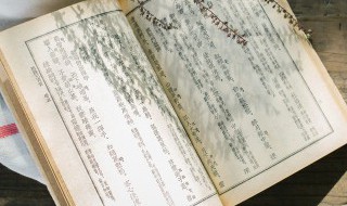 嗟夫怎么读音 嗟夫如何读音