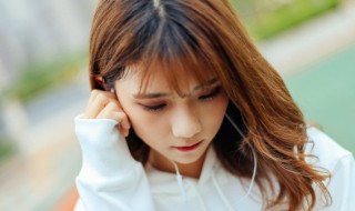 街灯晚餐歌词 街灯晚餐歌词是什么