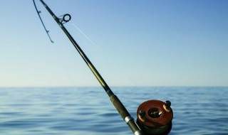 钓鲢鳙吃铅多大的漂 钓鲢鳙吃铅4-5克左右的鱼漂可以吗