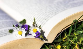 写台风的作文 台风的作文怎么写