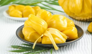 菠萝蜜的储存方法有几种 菠萝蜜的保存方法有几种