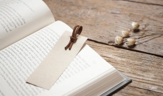 什么是物质马克思 物质马克思的意思