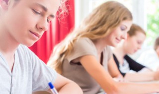 什么叫做王与马共天下 王与马共天下的意思