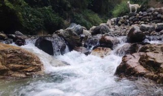 改土归流什么意思 改土归流介绍