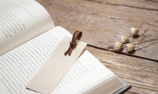 功成不必在我是什么意思 功成不必在我指什么