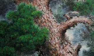 青松象征的意义是什么 青松象征什么意义